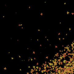 Nowan x Kasket - Let the Leaves Fall clip