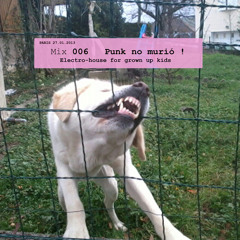 Mix 06 "Punk no murió !" Electro House for grown up kids.
