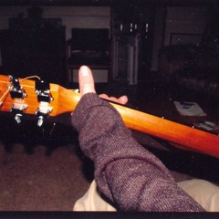 Wayne Steele's Fret Project