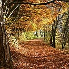Herbst