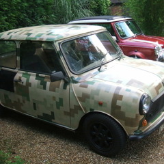 They'll Never Take Us Alive