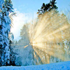The Forgotten Sounds Of Cumbria (Genre competition winner)