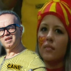 CANE NIKOLOVSKI -   MAKEDONSKO DEVOJĆE