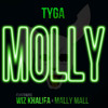 Tyga Molly (Instrumental)