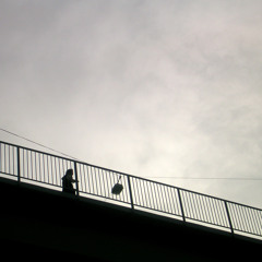 04 Prästens lilla kråka