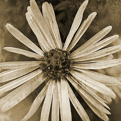 Alex ookpik - Sad machines (Yoann Carion remix)