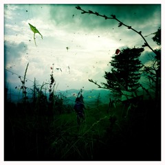 BAR-one ft. diadainconsupertrafra ft. Koda (Without)