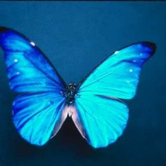 Destiny (Zero7 cover, live in France)