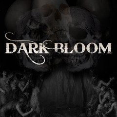 Darkbloom - Never have to Say