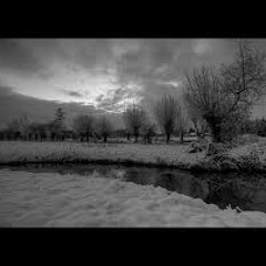 Somber Winter