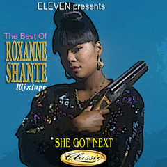 11. ROXANNE SHANTE & BIZ MARKIE (LIVE)