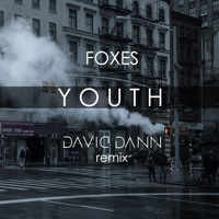 Foxes - Youth (David Dann Remix)
