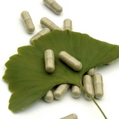 GINKO BILOBA -Nightmare on elm street