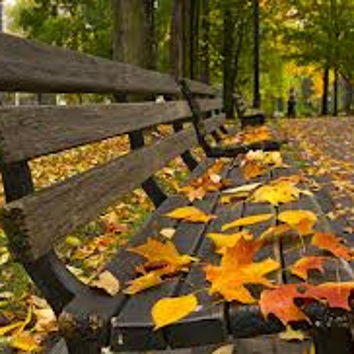 Autumn In My Heart - Reason (Piano Instrumental)