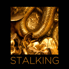 Black Madonna ft. Dida - Stalking