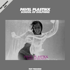 Pavel Plastikk - School Of Dolphins (TP#044)