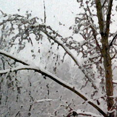 Dzadzakin - Winter Time