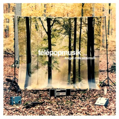 Don't look back - Telepopmusik - Rastovich (Tristan Bres) RMX  (Free Download)