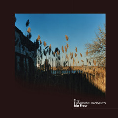 The Cinematic Orchestra - That Home