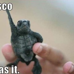 Minimix Disco House - Petit Batô