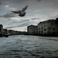 Au vent de l'éventuel