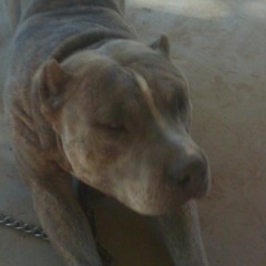 Thegeneral ((MixTapevol.1))