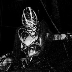 Lady Gaga Government Hocker Live In Paris