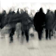 Alif Tree - Winteraud mix