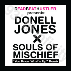 Donell Jones - "You Know What's Up" (Souls of Mischief) Remix