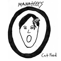 Manateees "Cat Food" // 7" Out Now On Goner Records
