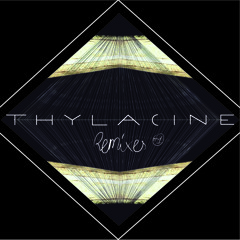 Alt-j - Tesselate (Thylacine remix)