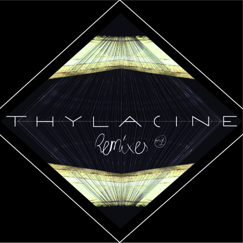 Alt-j - Tesselate (Thylacine remix)