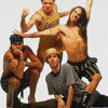 red-hot-chili-peppers-cant-stop-badjunior