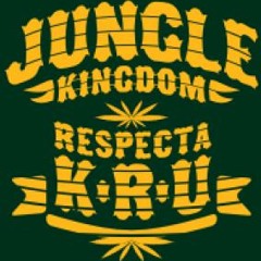 RaggaJungle mix