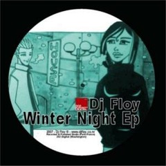 'Winter Night' - DJ Floy [Omar Karim Remix]