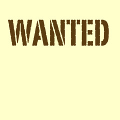 Wanted-Hunter Hayes (Acoustic Cover)