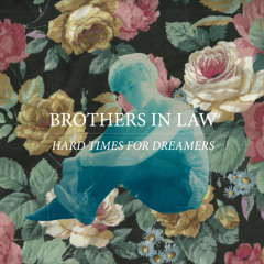 Brothers in Law - Lose Control