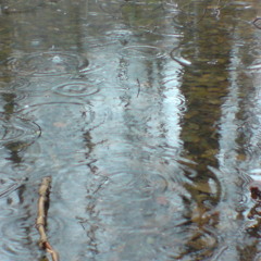 Vergeuder der Schmerzen (1995)