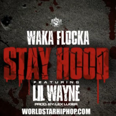 Waka Flocka - Stay Hood (Ft. Lil Wayne)