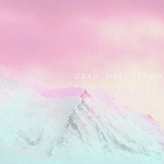 Dead mellotron - vacation ii