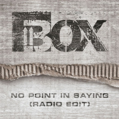 No Point in Saying - radio edit