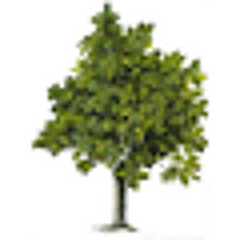 K"Zbcik d r xkzlzbr zr c kzbrub