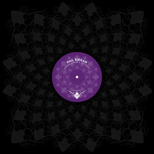 Phil Kieran - Wasps Under A Toy Boat