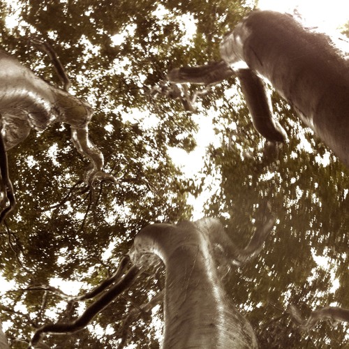 dgr69 - spring calling minimix pt2