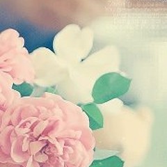 الحياة الطيبة لـ الشيخ محمد الشنقيطي