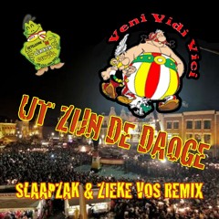 Veni Vidi Vici - Ut zijn de daoge (Slaapzak & Zieke Vos Remix)