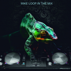 Deep winter mix in front of the fireplace