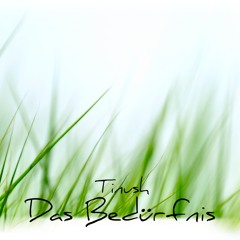 Tinush Salehi - Das Bedürfnis