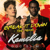 Kamelia feat. Doc Slim - Break It Down (Remix)