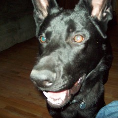 ONE PARadio on Facebook throwback Thursday